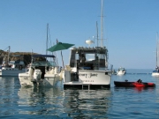 Days Catalina Pics 2005 037.jpg: 2005/08/01 - Day's Catalina Pics - 2005